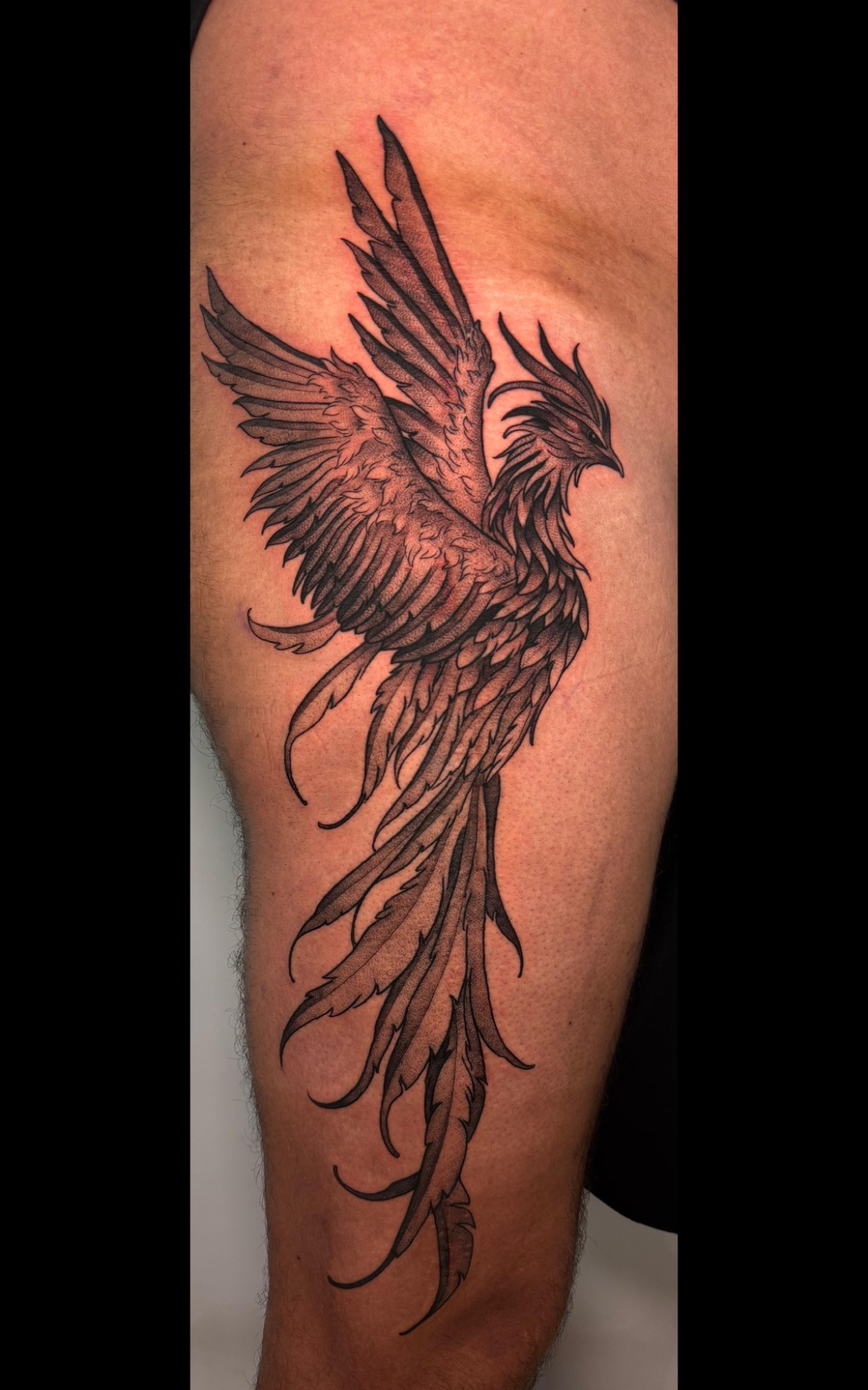 Tatuaje black Santiago