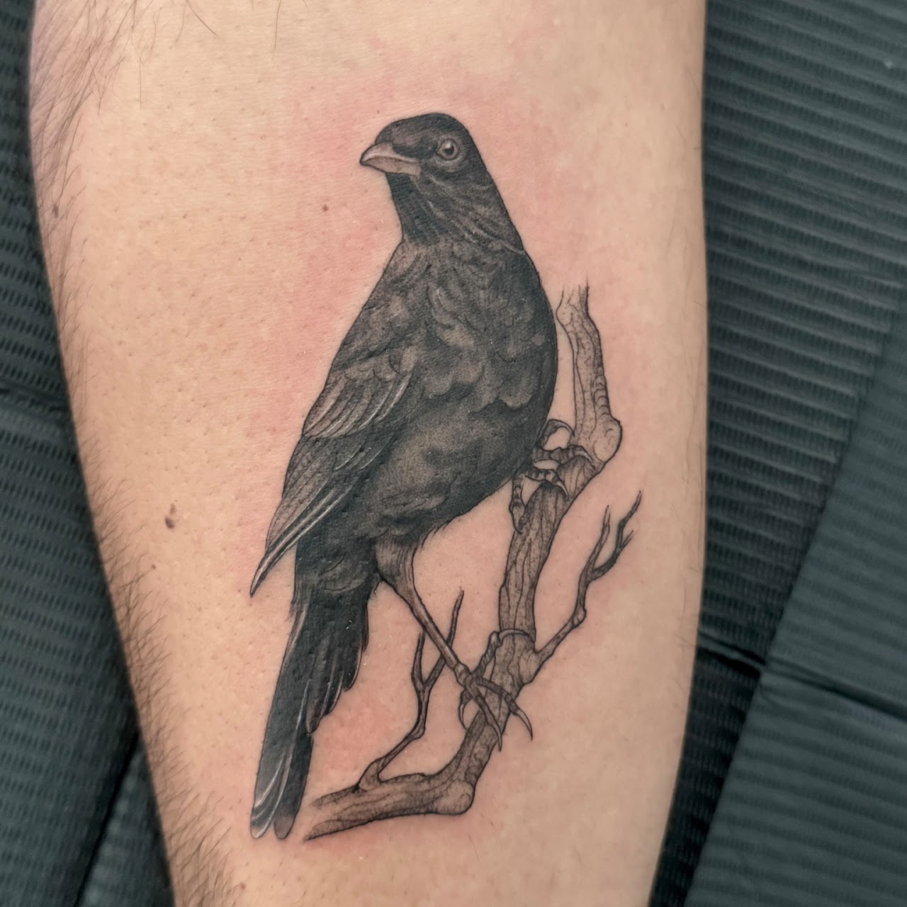 Tatuaje black Santiago