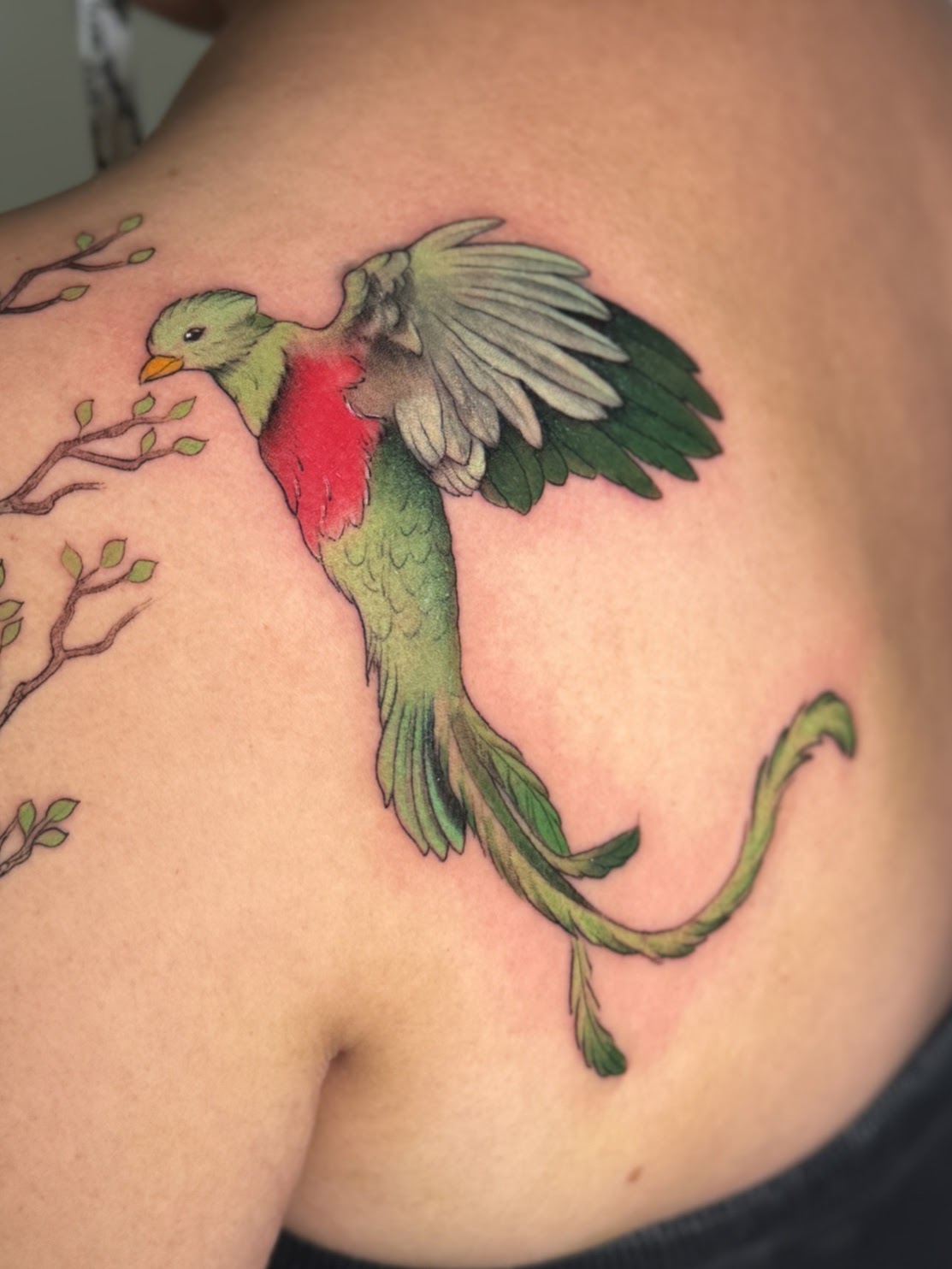 Tatuaje color Santiago