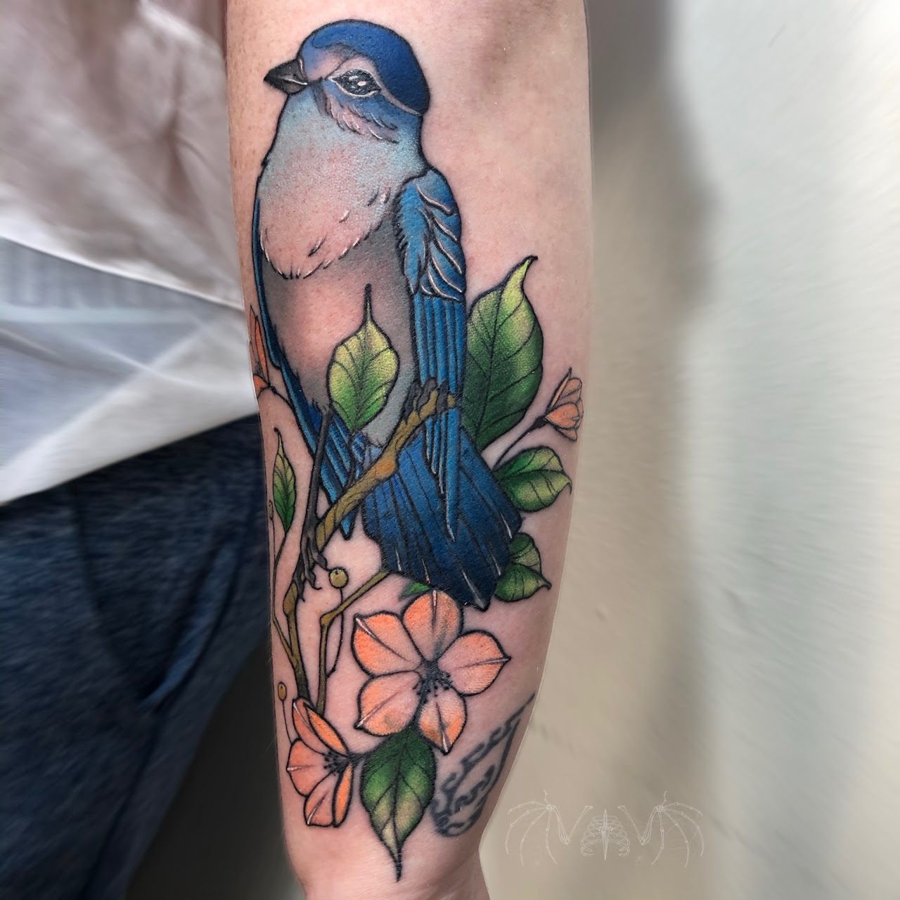 Tatuaje color Santiago — pájaro azul flores antebrazo